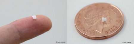 photo grommet for scale - on finger tip and against UK penny